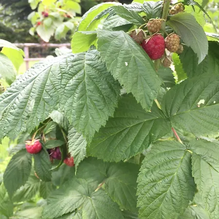 Gite La Luchette Vakantiehuis *